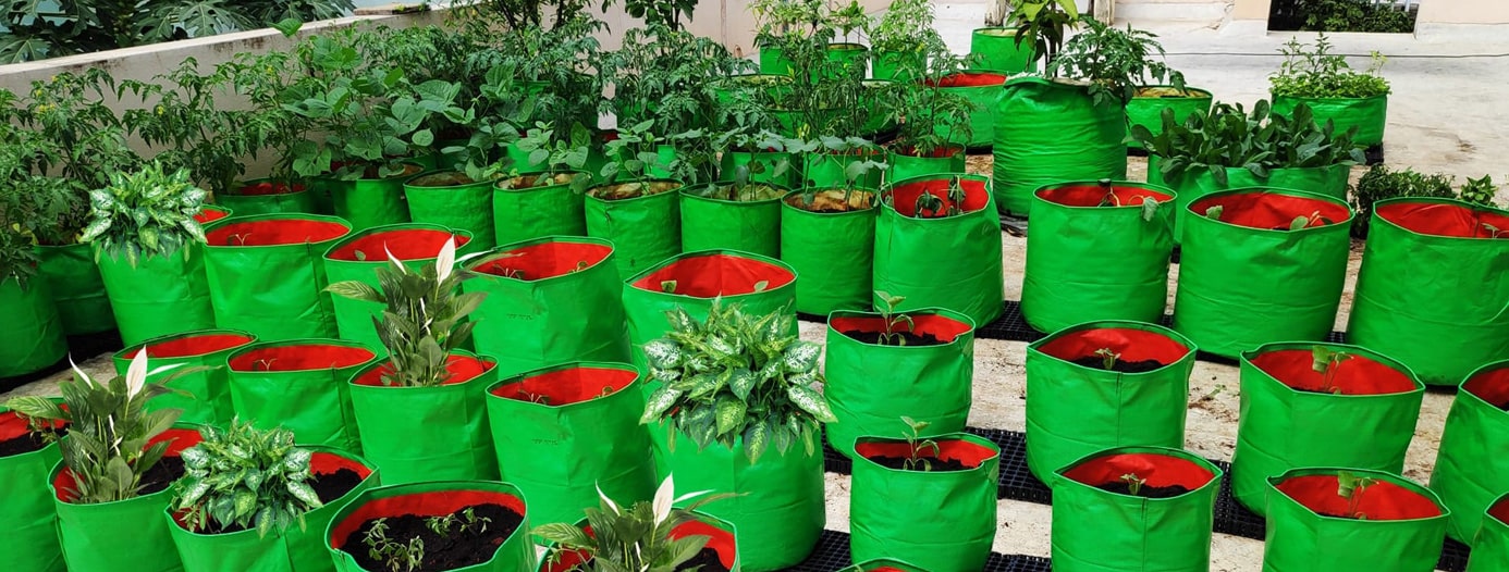 Customized Terrace Garden