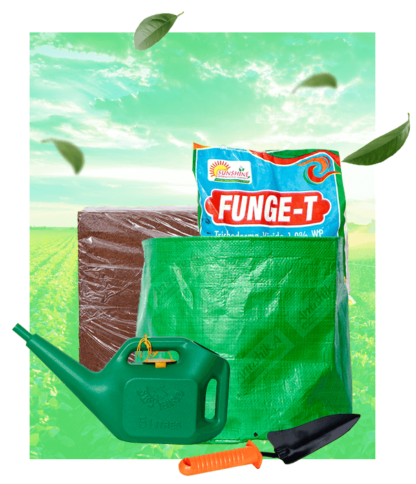 Garden Tool Kit