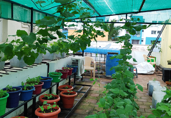 Roof Top Garden Service in Chennai