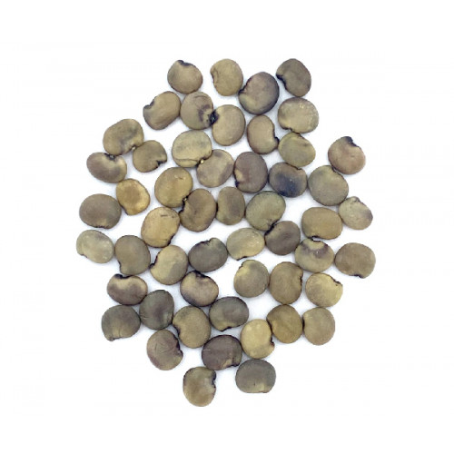 Cluster Beans-கொத்தவரை