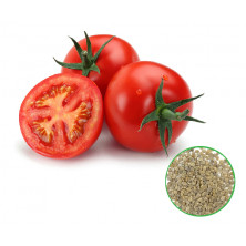 Tomato -தக்காளி