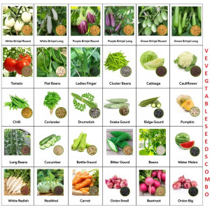 Organic Vegetables Combo 30 verity seeds