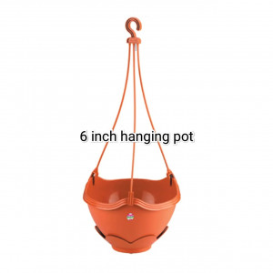 Sanjay Hanging pot-6inch
