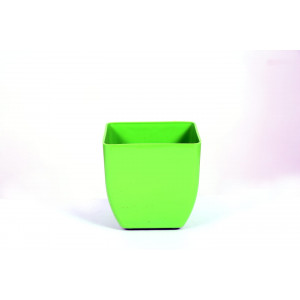 Table Top Square Plastic Pot 4 inch Green