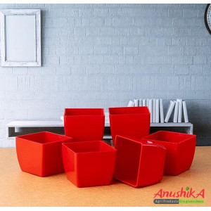 Table Top Square Plastic Pot 4 inch Red